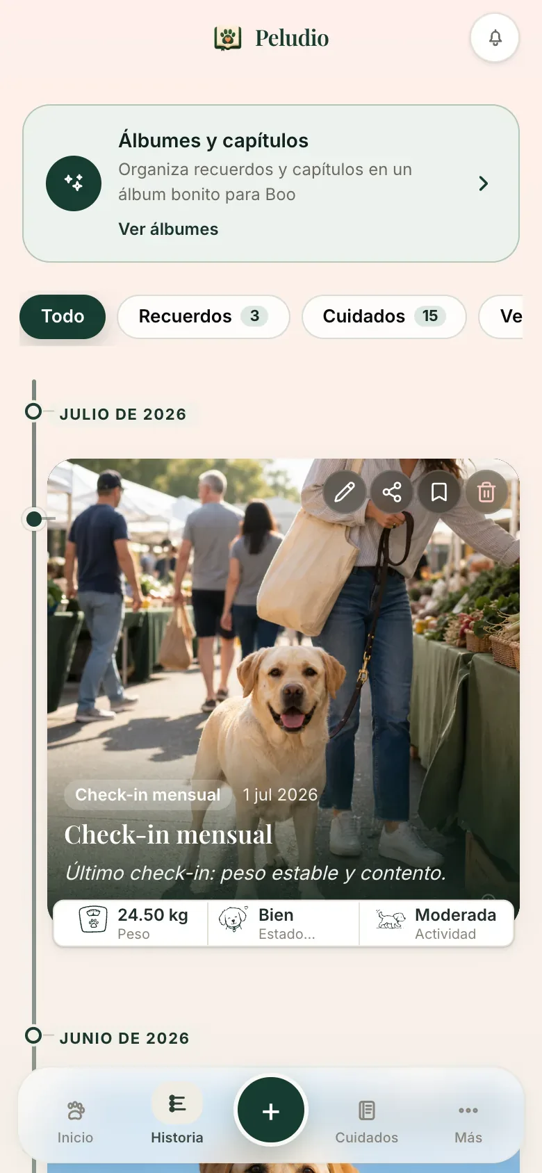 Peludio: Guarda lo que importa cuando sucede. Peludio lo ordena y lo relaciona